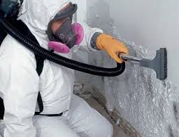 Why You Should Choose Our Mold Remediation Services in Newtown Grant, PA